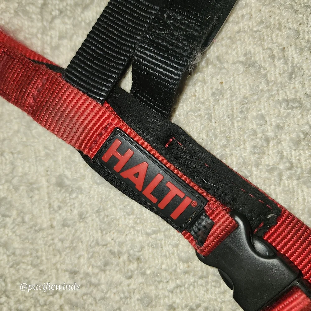 HALTI HARNESS MEDIUM TO LARGE